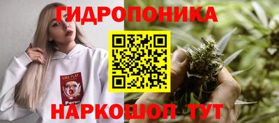 ALPHA PVP Будённовск