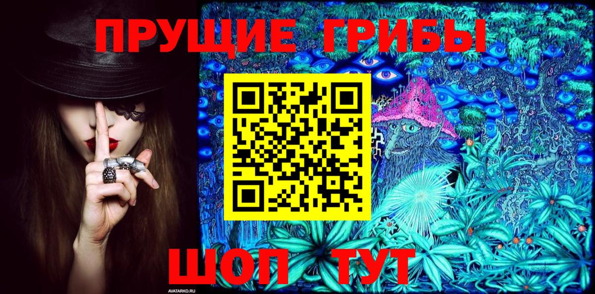 Галлюциногенные грибы Psilocybe Чусовой
