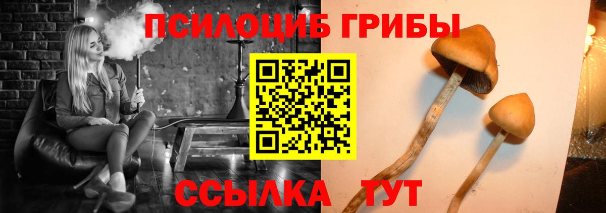 Галлюциногенные грибы прущие грибы  Вход с VPN  Чусовой  Галлюциногенные грибы Cubensis 