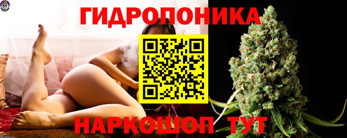 Бошки марихуана конопля  Марихуана AK-47  Вход с VPN  Чусовой  Бошки марихуана MAZAR  Каннабис планчик 
